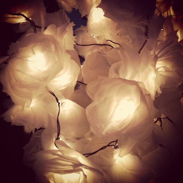 Dahlia Noir, lo nuevo de Givenchy.