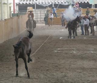 Con pializa abrió Bigotones