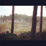 702d8958fb2911e18a5b220