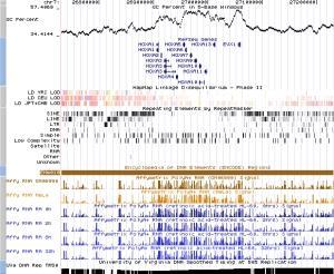 ¿Qué nos hace humanos? Proyecto ENCODE