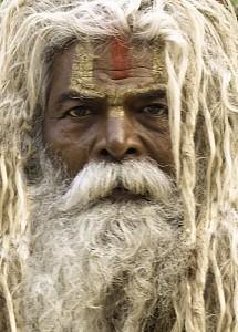 El brahmán y el tábano