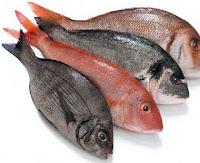 Más pescado, menos riesgo de degeneración macular