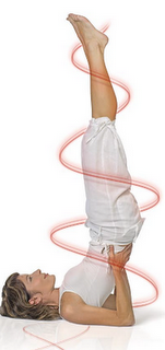 Manasul: indicaciones y contraindicaciones