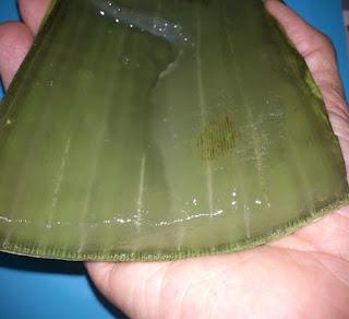 Los Jabones de Isabel
