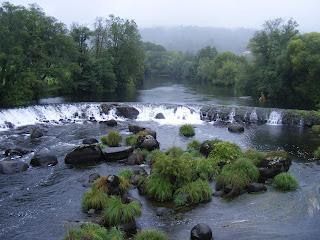 Conclusiones de mi verano