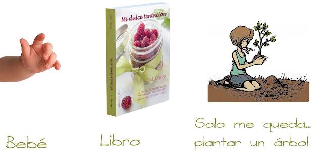 Galletas de Chocolate y Avena