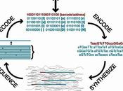 Escribiendo formato .DNA