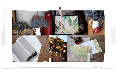 Mi profesión soñada