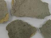 Ensayos Caracterización Fachadas