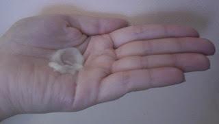 “Maghrabian Oil” – productos capilares con aceite de Argán “Maghrabian Oil” – productos capilares con aceite de Argán