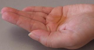 “Maghrabian Oil” – productos capilares con aceite de Argán “Maghrabian Oil” – productos capilares con aceite de Argán