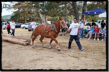 Covaleda_Tiro (2) Covaleda_Tiro (2)