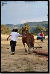 Covaleda_Tiro (1) Covaleda_Tiro (1)