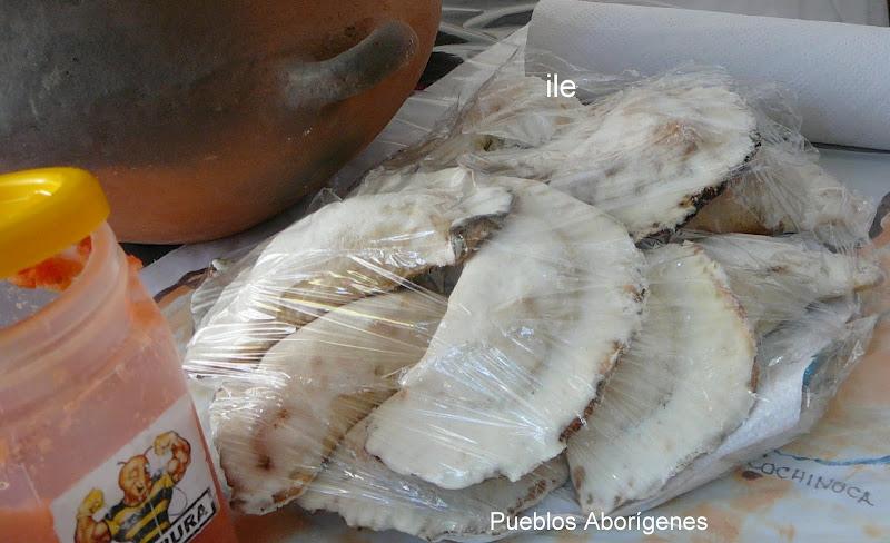 Fiesta del Inmigrante - Parte 2