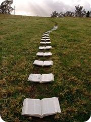 Cosas que nunca entenderé