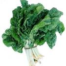 Alimentos para reducir el colesterol_espinaca.jpg