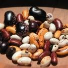 Alimentos para reducir el colesterol_frijoles.jpg