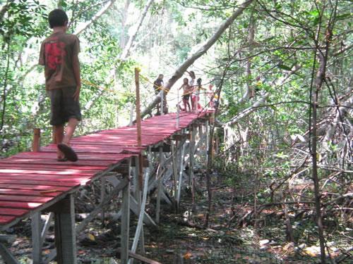 En Venezuela el puente de madera reciclada más largo del mundo se encuentra en?........