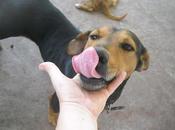 Mary busca familia!!‏ (Murcia)