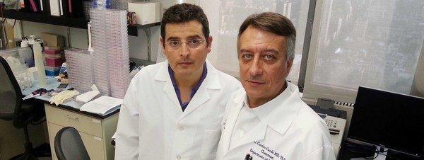 Descubiertas las células madre del cáncer de próstata
