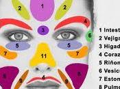 Reflexología Facial