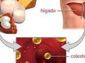 Como reducir niveles colesterol sangre