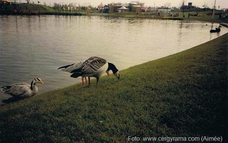 zzzzzzzzzzz-049--Resolution-de-l-ecran-