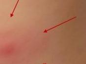 pediatra prisa