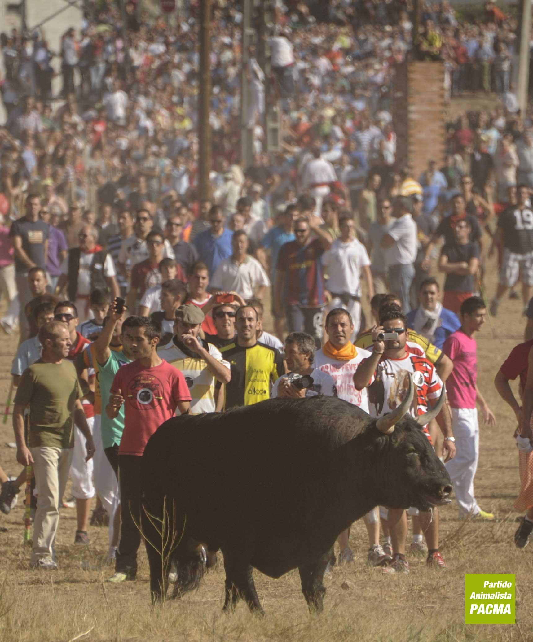 ¿NO QUIERES CALDO...? ¡¡¡ TOMA DOS TAZAS!!!!!.