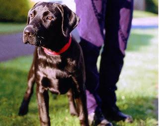 10 Consejos para Vencer la Timidez