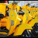 Citación: función pública ejercida por un particular