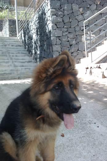 Primero, una sonrisa