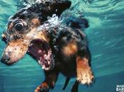 Crazy graphic advertising