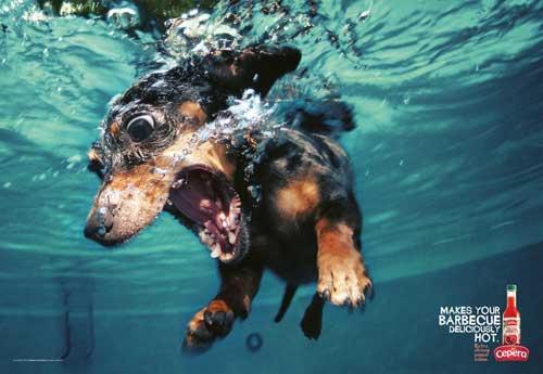 CRAZY GRAPHIC ADVERTISING