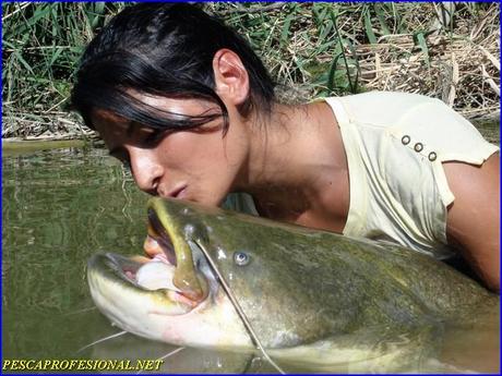 SILURUS GLANIS1 TOUR DE PESCA 