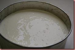 tarta de yogur con frutas