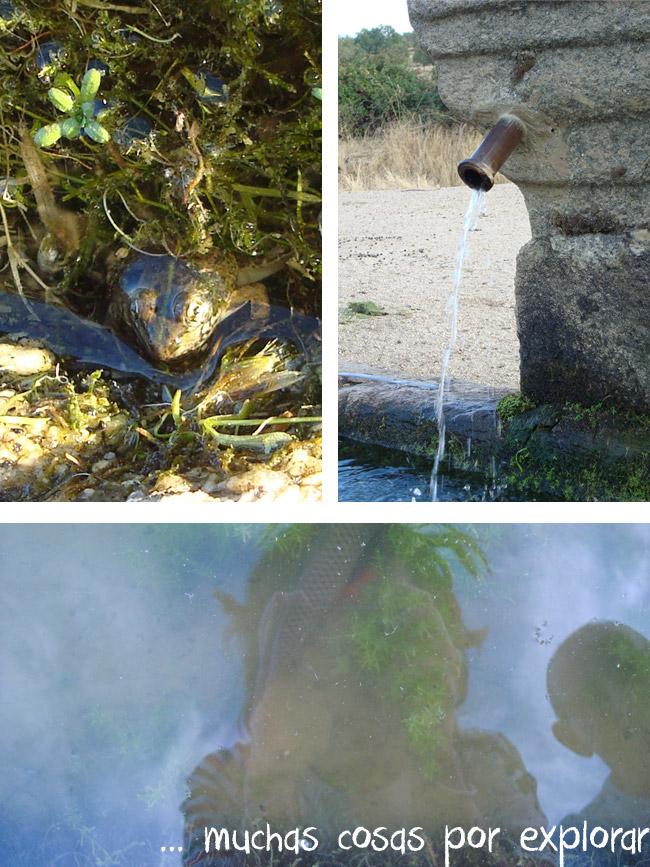 Retazos de un verano especial y volvemos a encontrarnos...