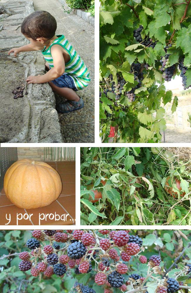 Retazos de un verano especial y volvemos a encontrarnos...