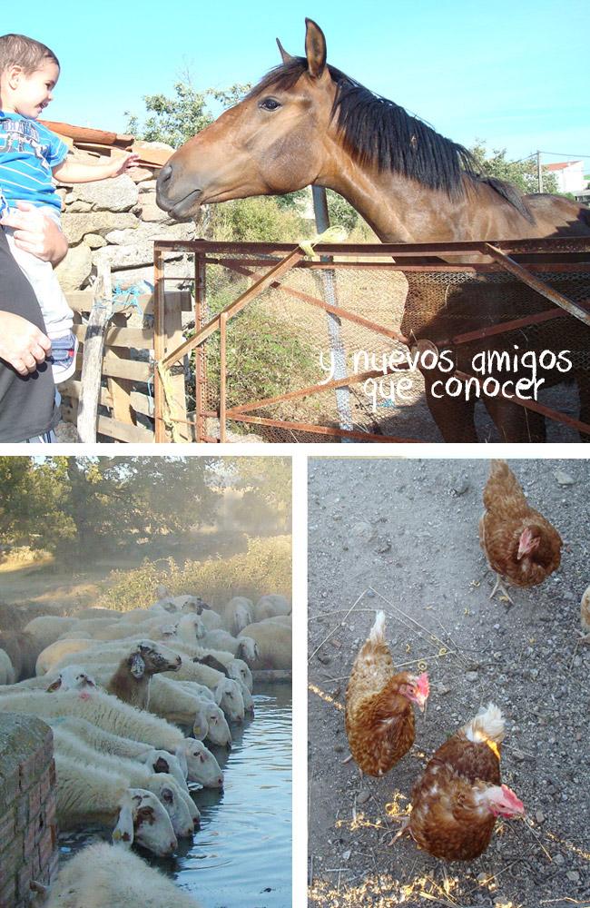 Retazos de un verano especial y volvemos a encontrarnos...