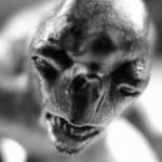 Trolling: todos los Blogs sufren los ataques de los Trolls cuando tiene una audiencia importante