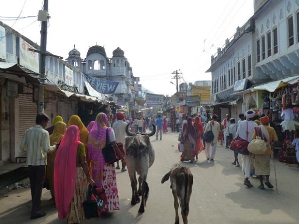 Peregrinaje a la India