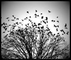 Datos Curiosos Sobre Grandes Escritores.