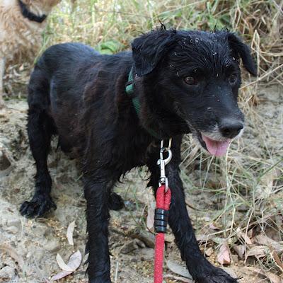 Toño y Kenzo‏, se merecen algo más del infierno que vivieron.