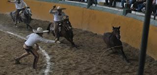 La mínima de 6 anda en 364, con Charros de Jalisco