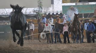 La mínima de 6 anda en 364, con Charros de Jalisco