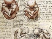 Comunicación prenatal