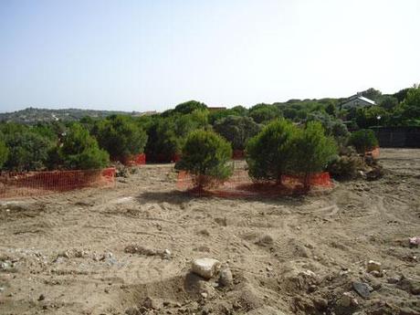 A-cero Tech Projects La Fica Las Marías ya en pleno funcionamiento!!