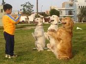 Recortes amenazas consejos para futuros entrenadores