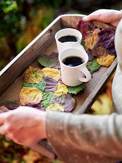 EQUINOCCIO DE OTOÑO