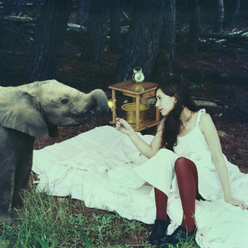 EQUINOCCIO DE OTOÑO